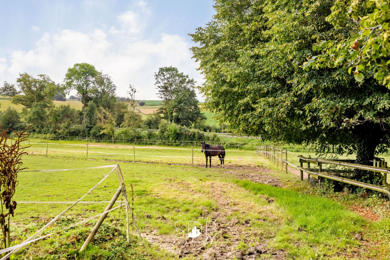 Hedendaagse woning met hippisch complex op circa 2hectare 