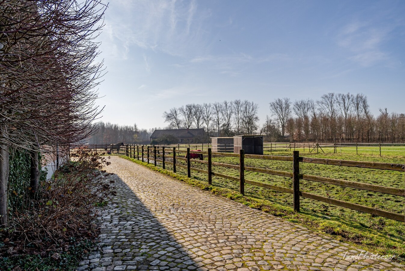 Uitzonderlijke woning met paardenaccommodatie, binnen- en buitenpiste op ca. 9,4 ha te Haacht 
