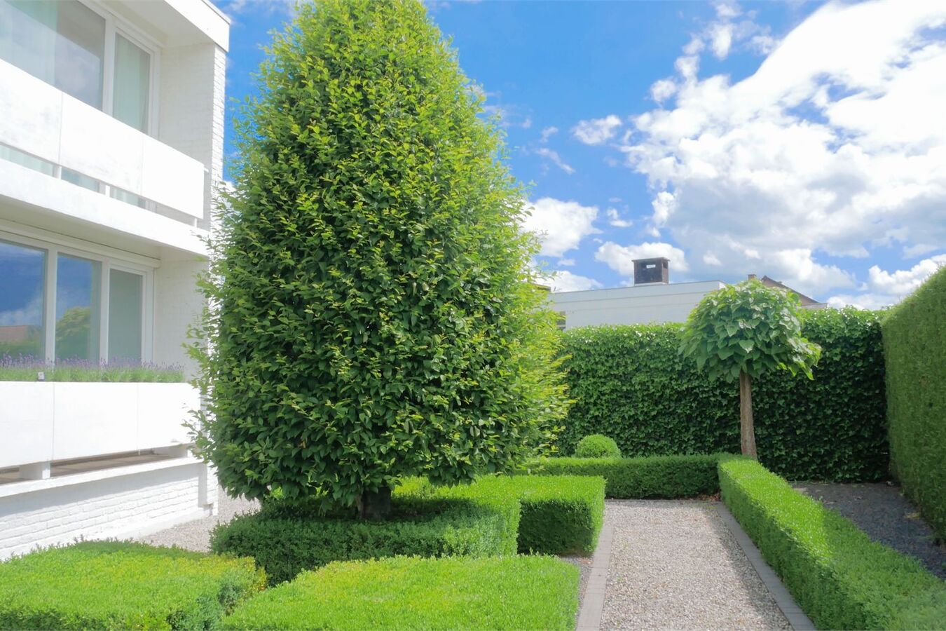 Moderne villa met bijzondere lichtinval 