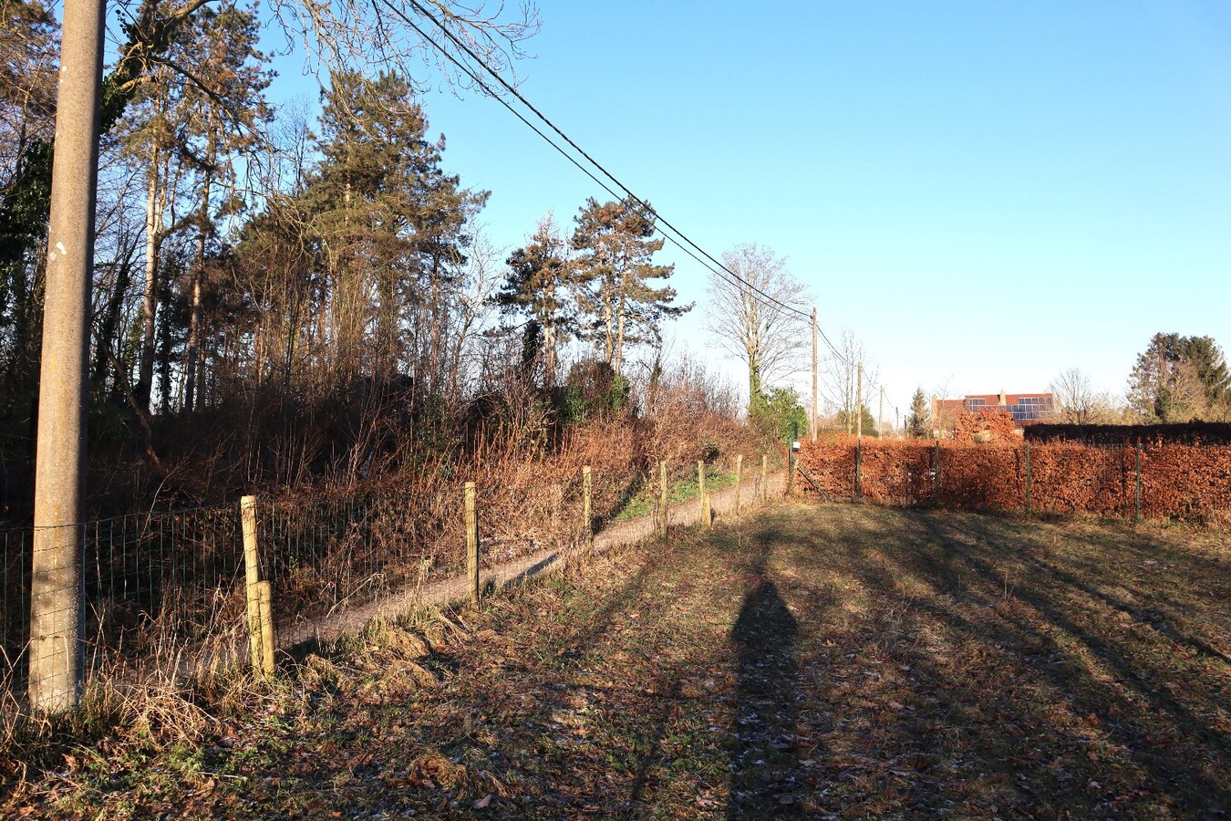 Prachtig gelegen bouwgrond te Bierbeek voor open bebouwing 9 are 45 ca 