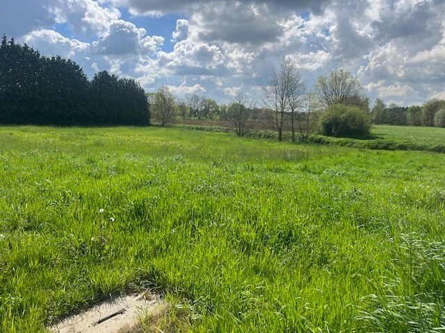 Te koop grond - Begijnendijk