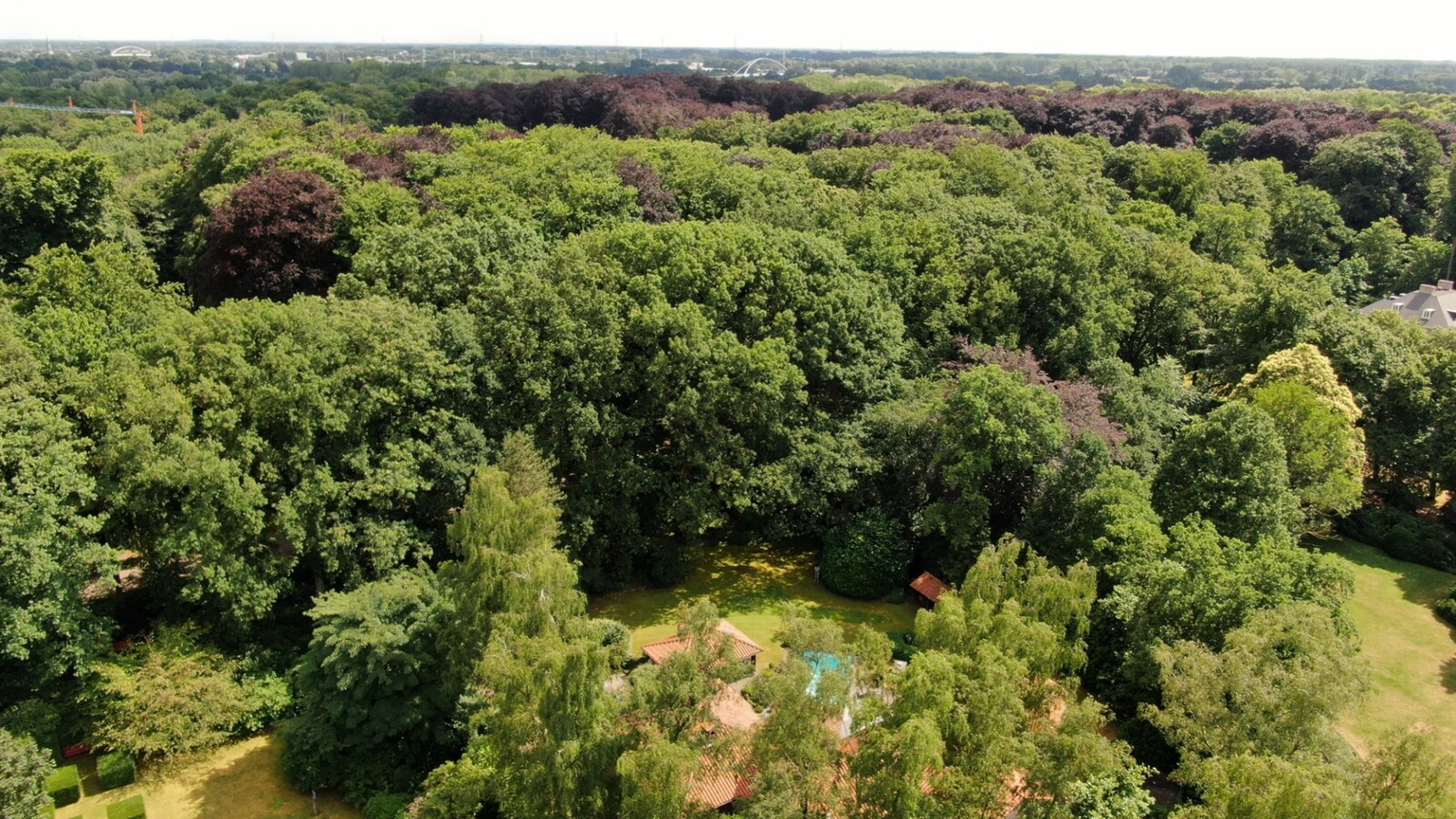 Gelijkvloersvilla op een perceel van 3.500 m² op een toplocatie te Schilde 