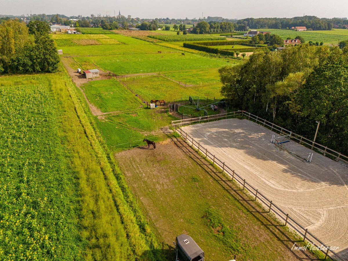 Maison semi-ouverte avec écuries, piste et prairies sur environ 1,5 ha à Sint-Katelijne-Waver (Optionnel : possibilité d'acheter une prairie d'environ 1 ha en plus) 