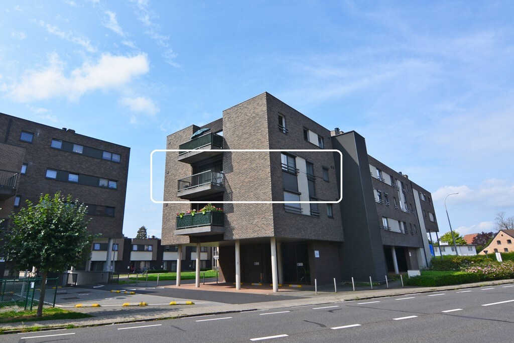 Verhuurd appartement - Maaseik