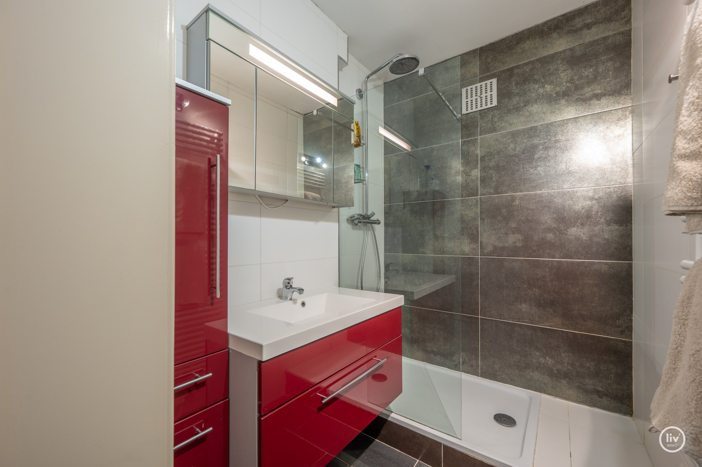 Dit uitstekend gelegen en bijzonder lichtrijke appartement geniet van een open zicht op de Heilig Hartkerk en dankzij de gunstige oriëntatie baadt het de hele dag in het zonlicht. Een aangename woonpl 