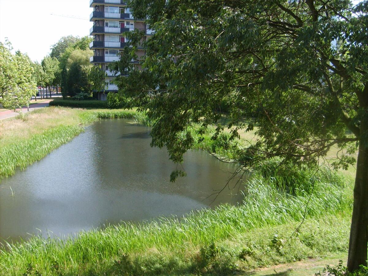 Appartement verkocht in Breda