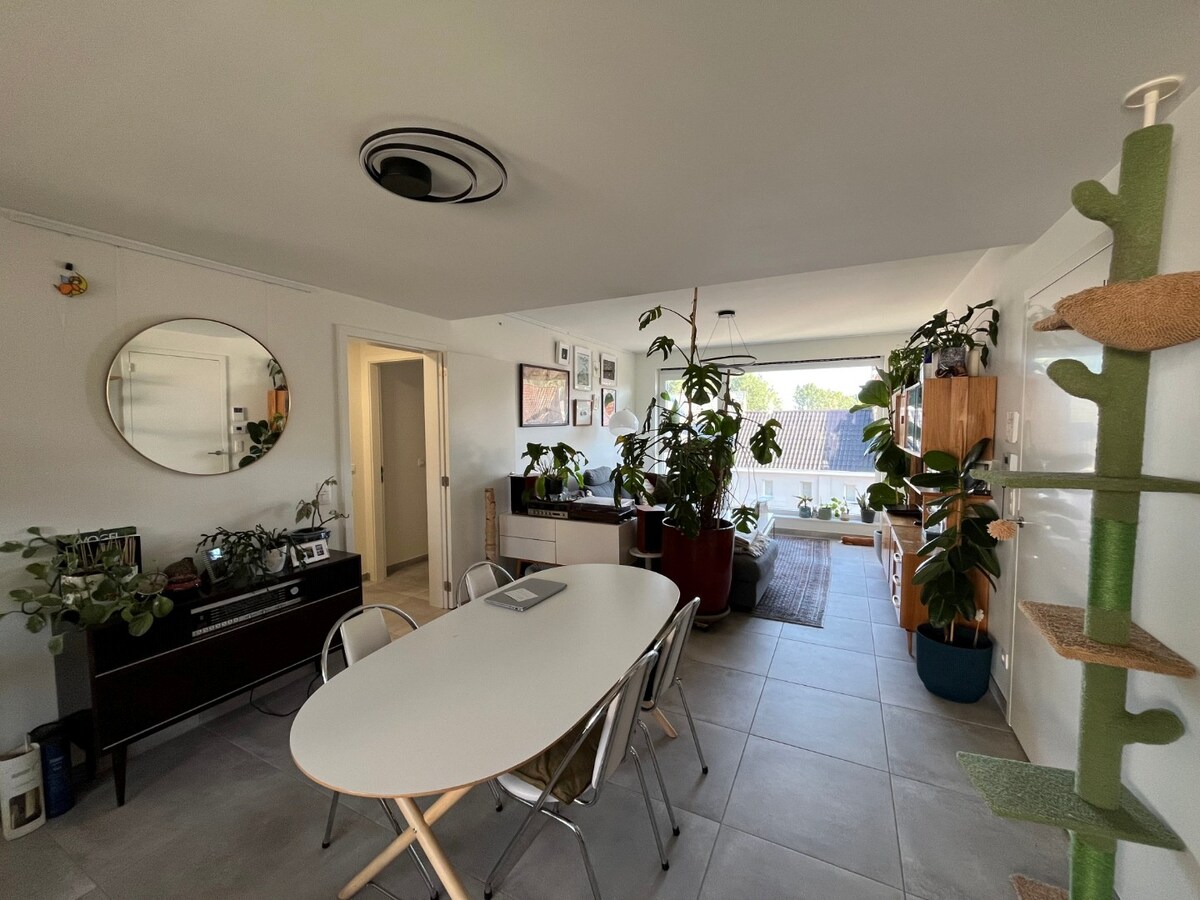 Energiezuinig en lichtrijk wonen - zuidgericht terras. 
