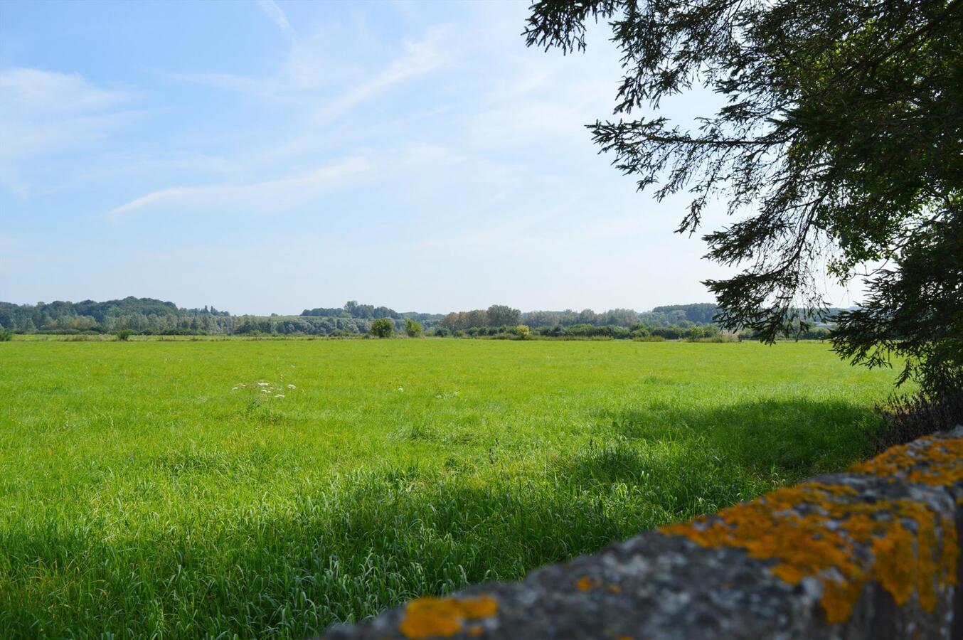 Herenhuis met stallingen op 2.726m² te Lessen (mogelijkheid tot 1ha extra weiland) 