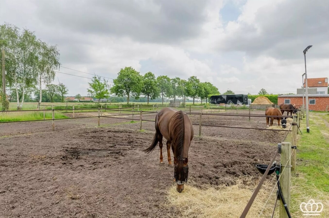 Magnifiquement située, charmante maison avec des installations pour chevaux sur environ 1,8 ha à Essen. 