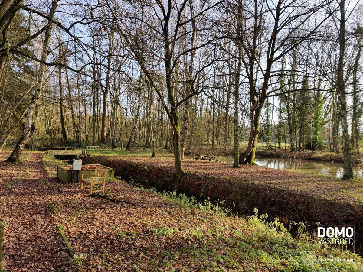 Chalet met aangrenzende vijver en bos. 