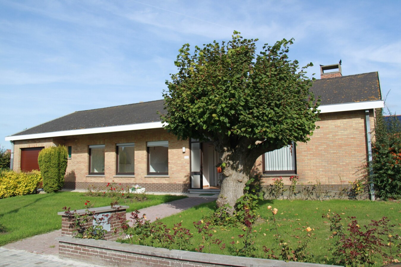 Ruime woning met zonnige tuin 