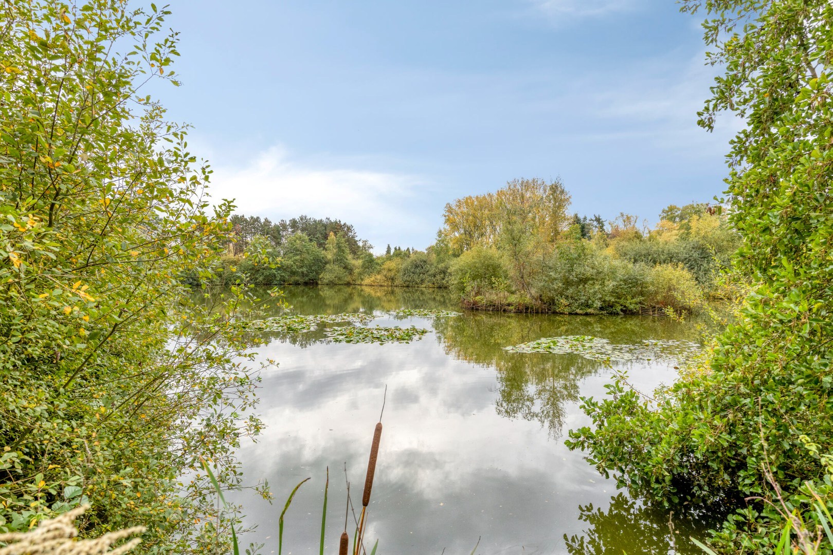 Uniek perceel van 2 ha. en 34 are met 3 prachtige vijvers 