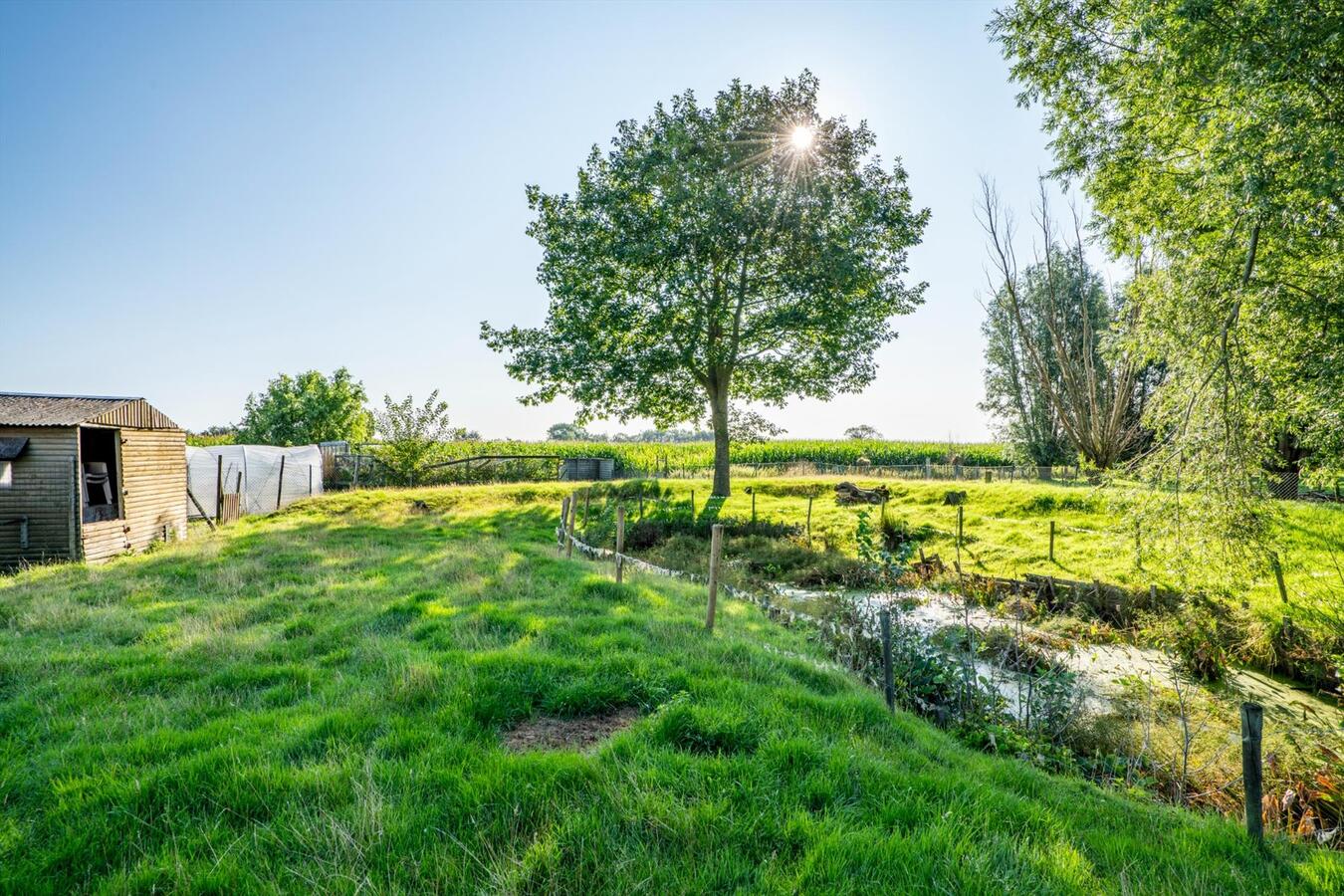 Grote woning met 6 slaapkamers en atelier op 2645 m² te Koekelare 