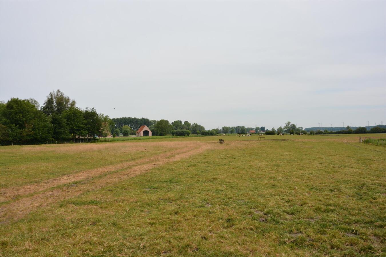 Goed gelegen stuk weiland 