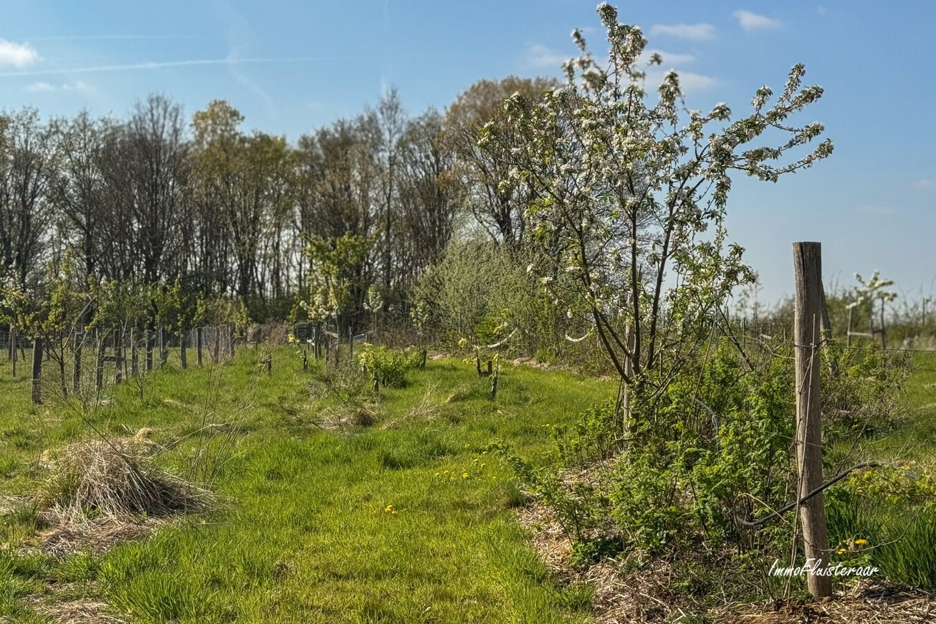 Champ de 90 ares à Tielt-Winge 