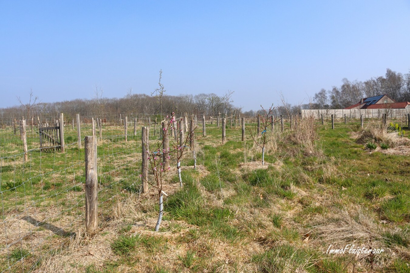 Champ de 90 ares à Tielt-Winge 