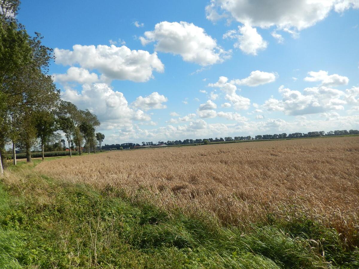 Instapklaar rustig gelegen landhuis met zicht op velden 