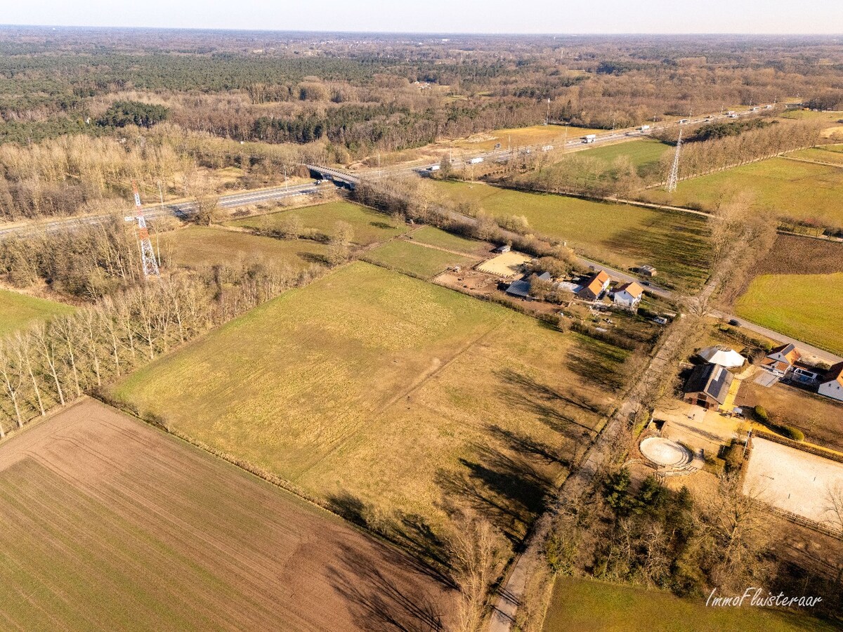 Prachtig weiland van ca. 2,5 ha te Zandhoven 
