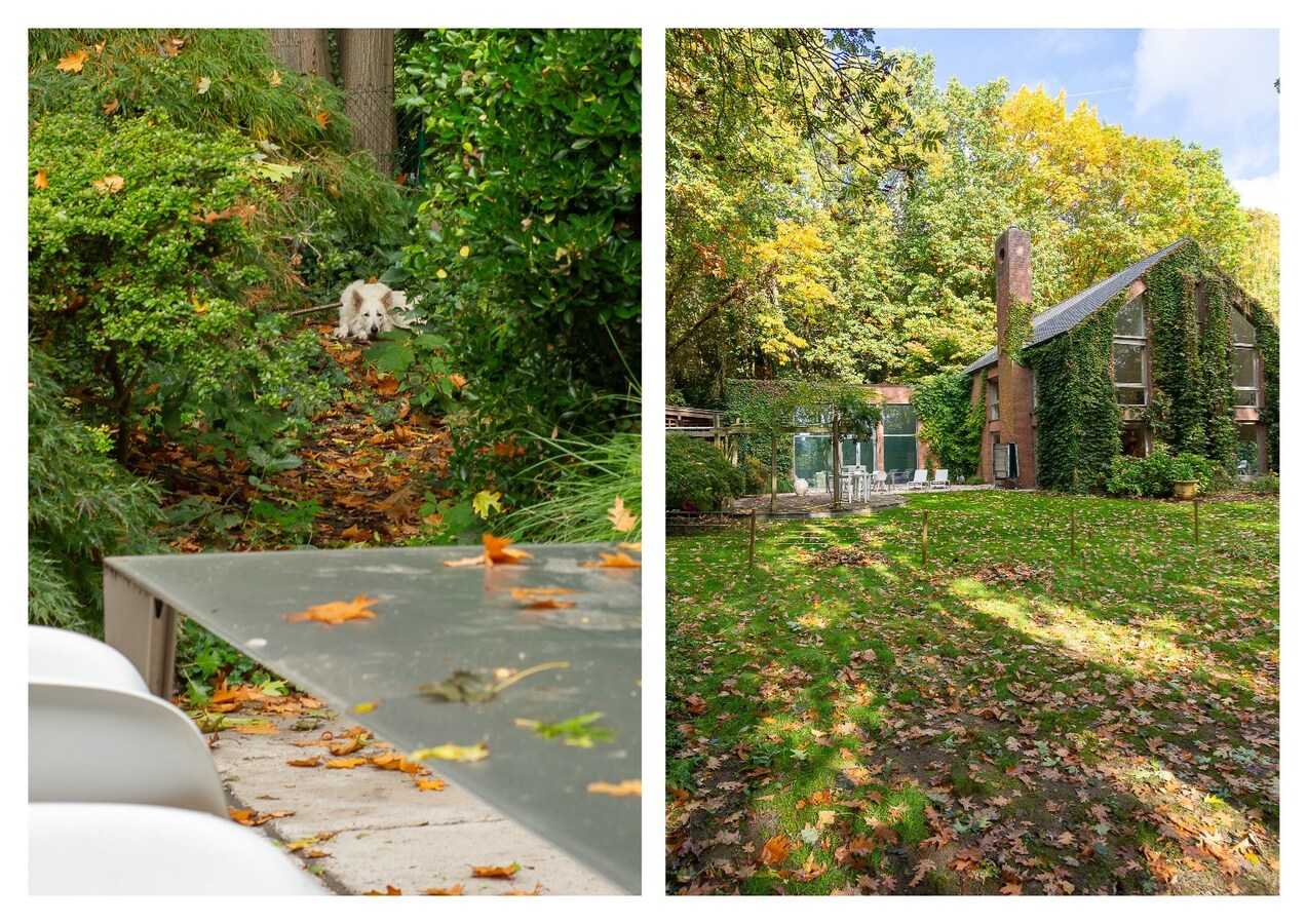 Villa op 3 345 m², droomlocatie te Sint-Martens-Latem 