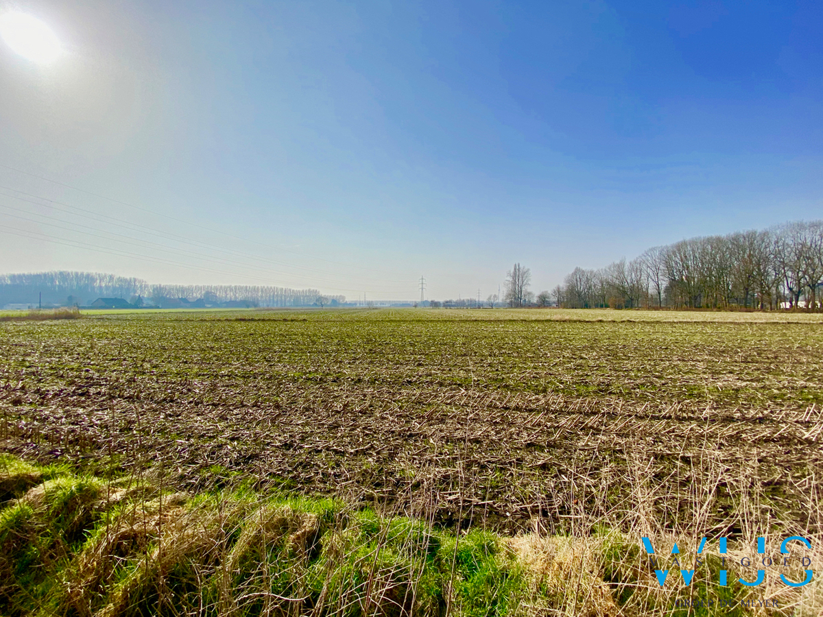 Instapklare en smaakvolle woning in hartje EEKLO 