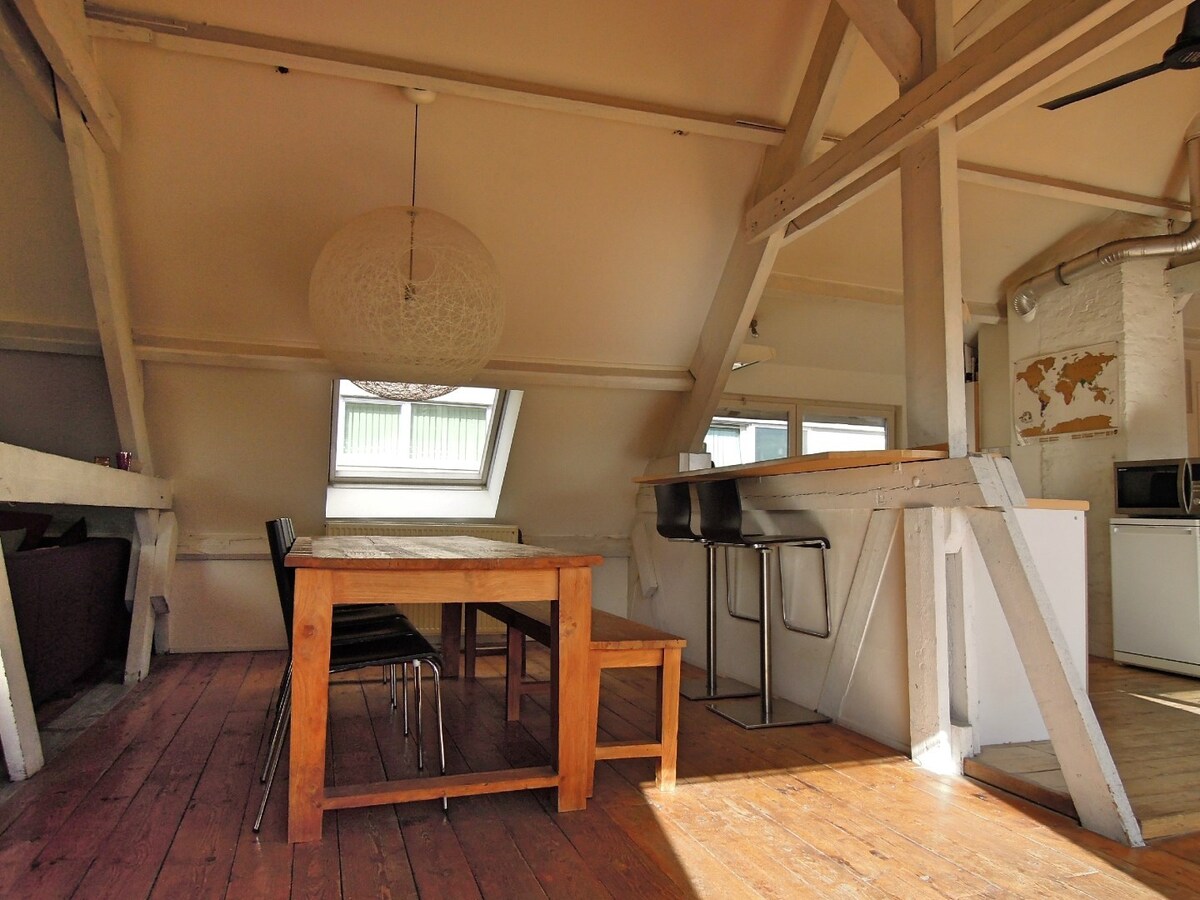 Stijlvol en licht dakappartement van 125 m² in hartje Antwerpen 