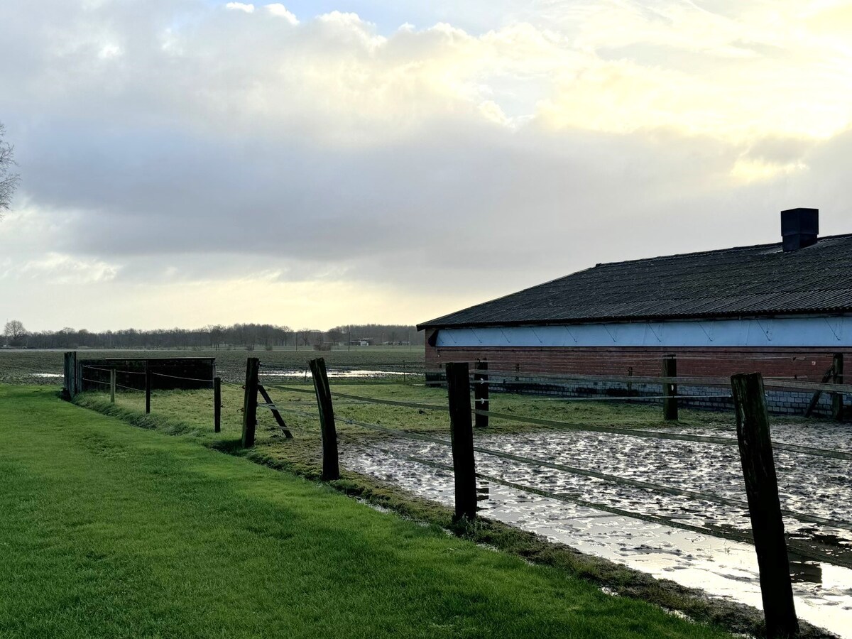 Woning verhuurd in Merksplas