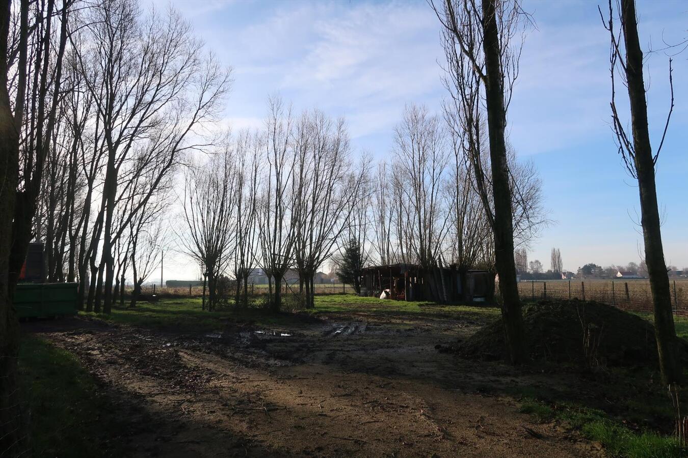 Landelijk gelegen woning met groot bijgebouw op een totale oppervlakte van 4403m² 