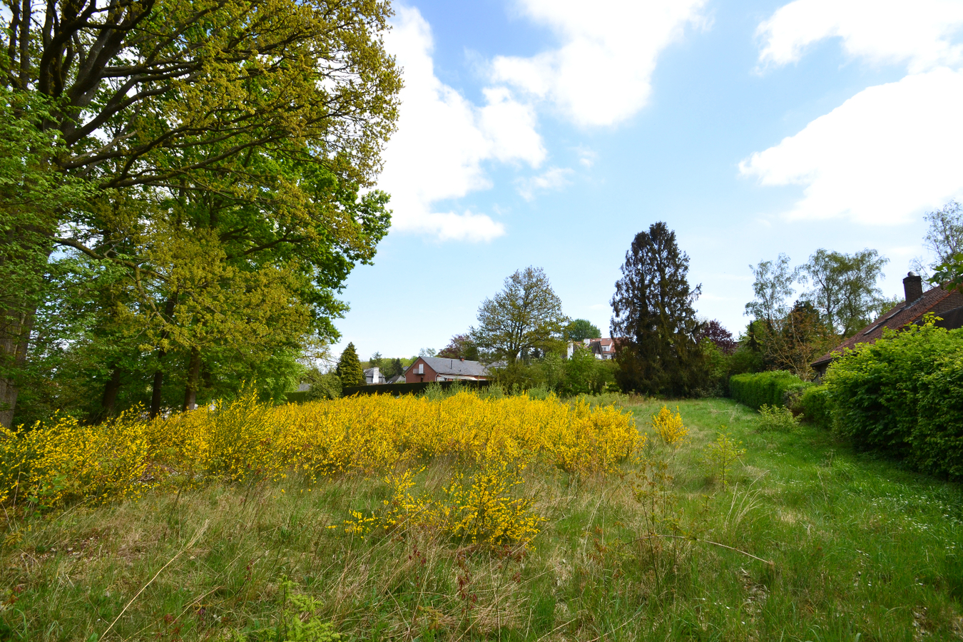 Verkocht grond - Herent