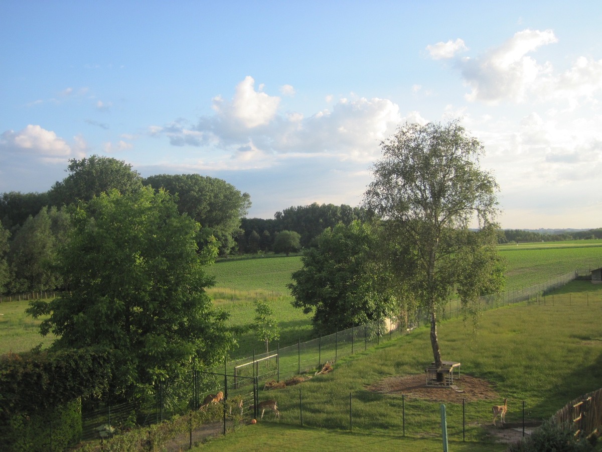 Recent, ruim appartement met een uniek terras ! 