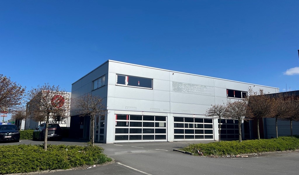 Commercieel gelegen showroom met magazijn te huur in Wetteren