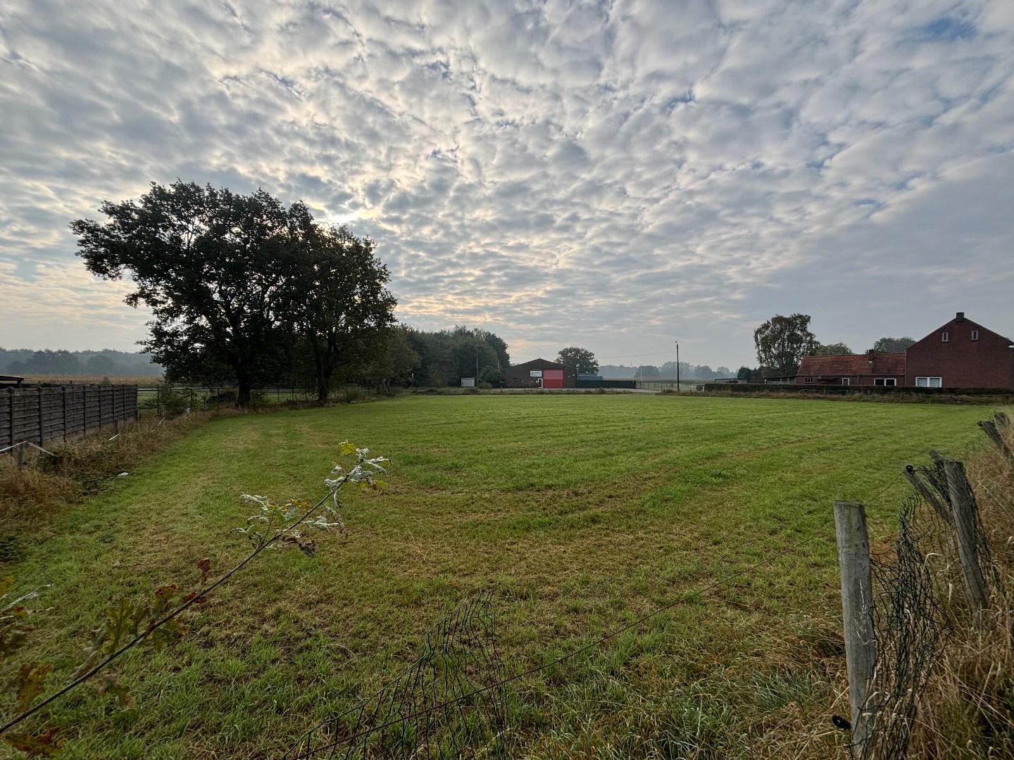 Investeringsgrond van 36a 30ca in Pelt 