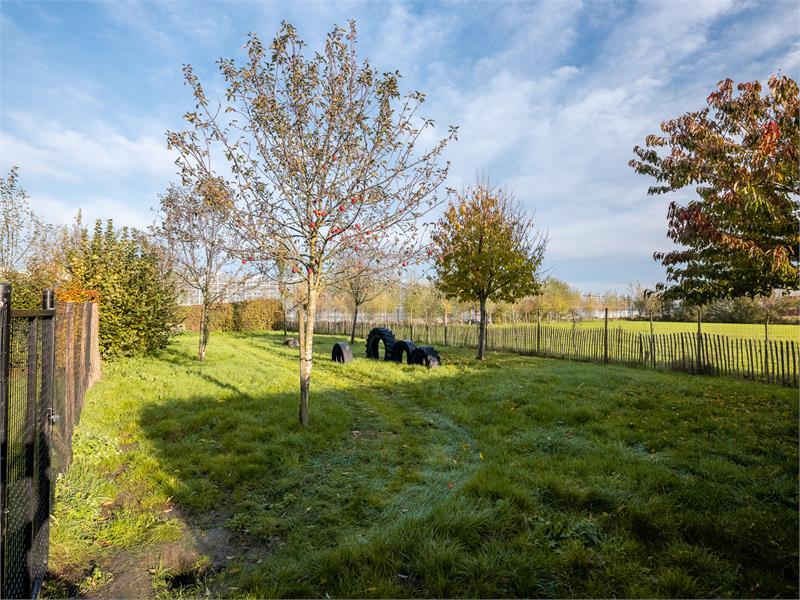 Landelijk gelegen vrijstaande woning op groot stuk grond! 