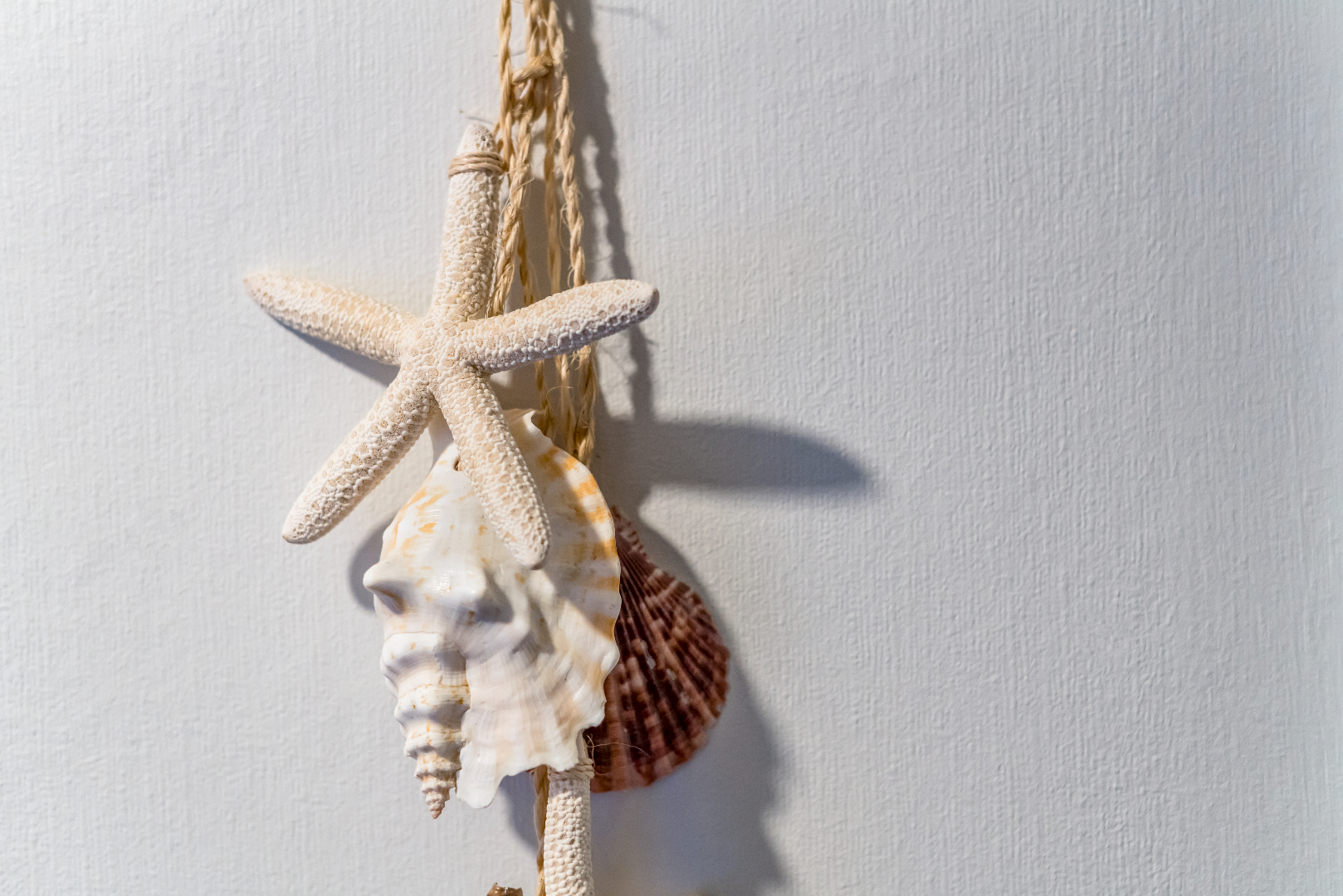 Ruime 3 slaapkamer appartement 