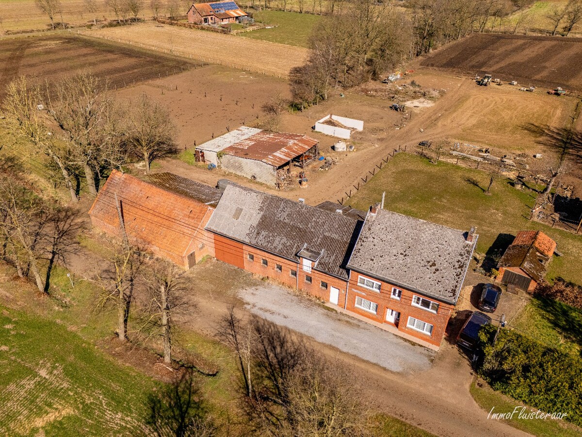 Ruime woning met stalgebouw op ca. 2,9 ha te Meerhout (Optie aankoop ca. 3 ha extra weiland) 