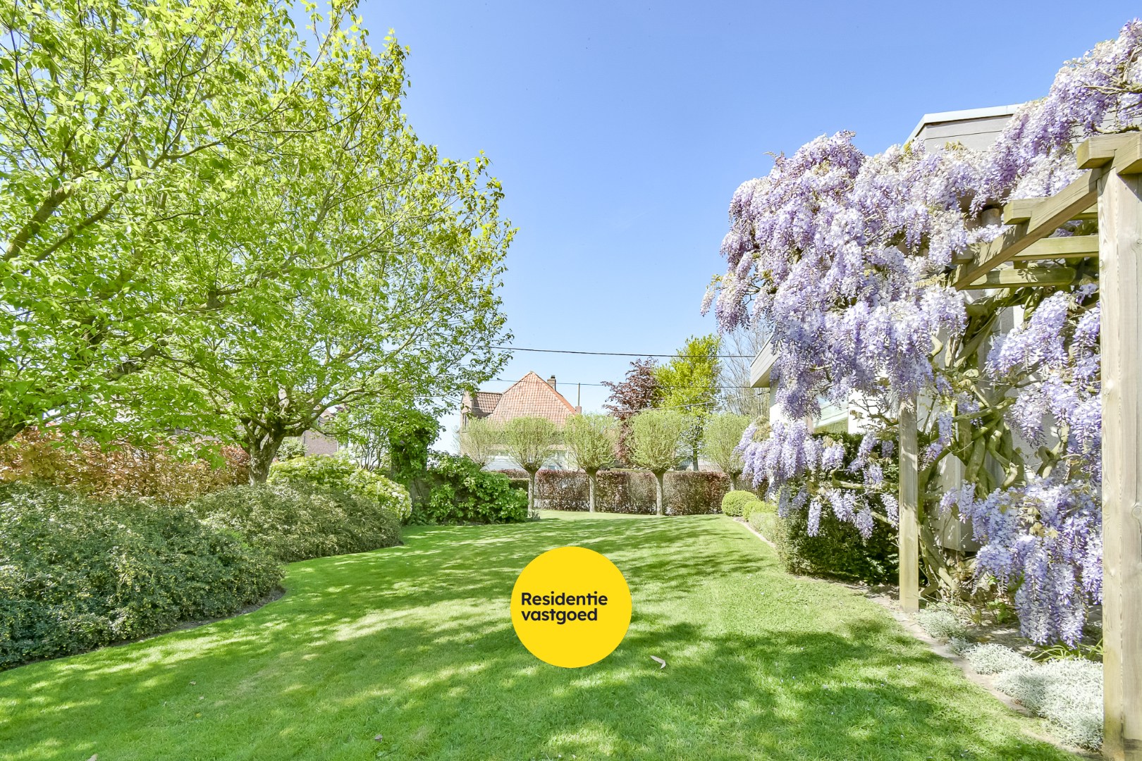 KIJKDAG zaterdag 9 mei van 10u tot 12u, op afspraak! 