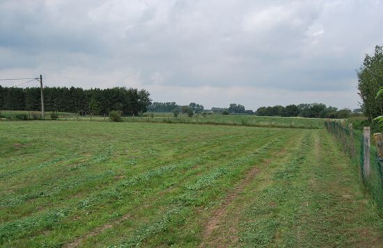 Charmante hoeve op ca. 4000m² 