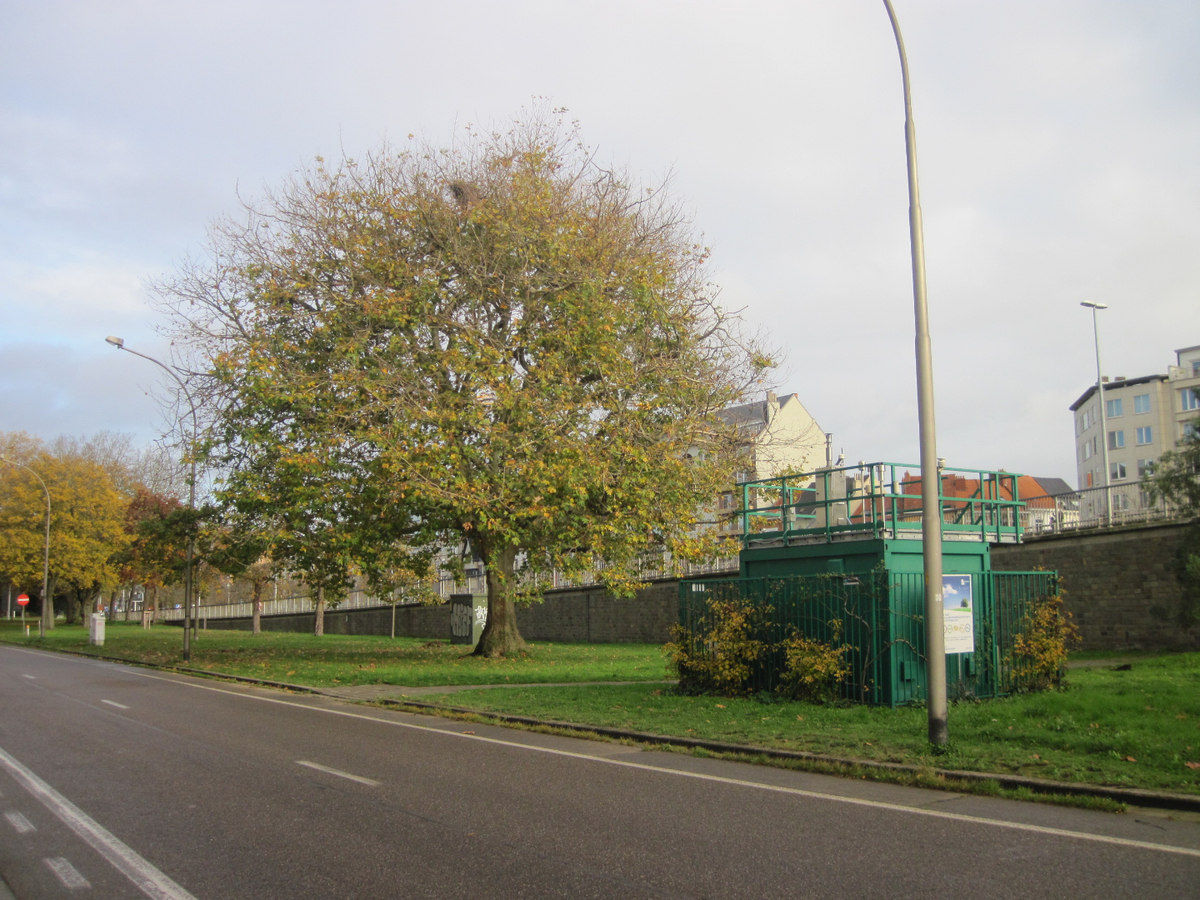 Gezellige duplex nabij 't Zuid. 