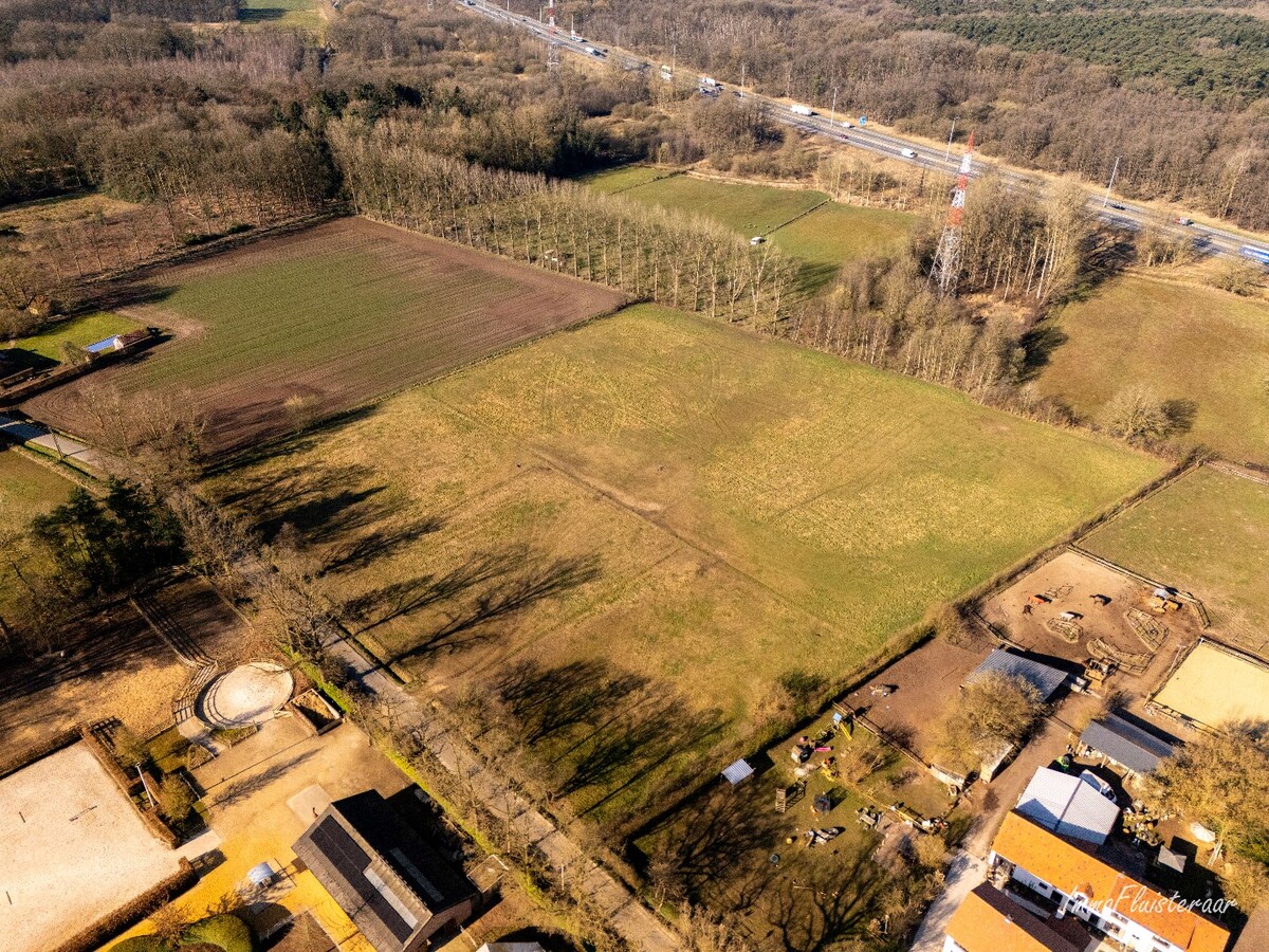 Prachtig weiland van ca. 2,5 ha te Zandhoven 