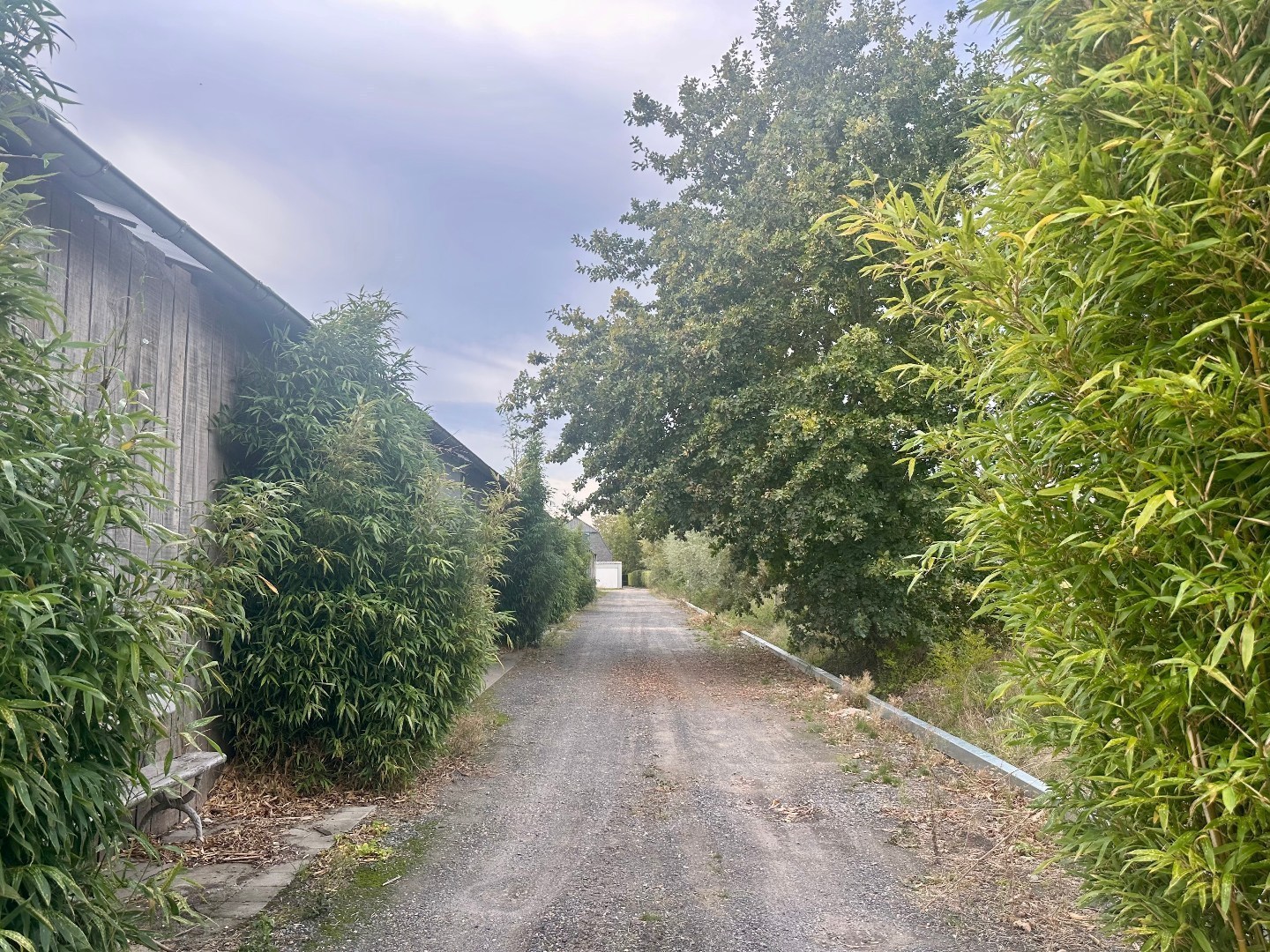 Droge en veilige opslagplaats op gunstige locatie 