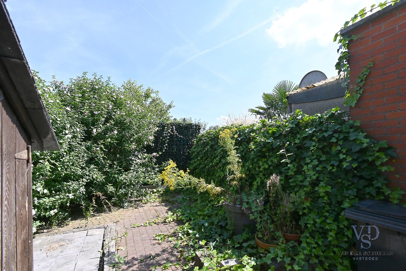 Knusse starterswoning met koertje 