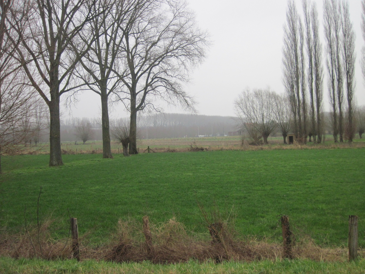 Stijlvolle en degelijke bungalow. Unieke ligging. 