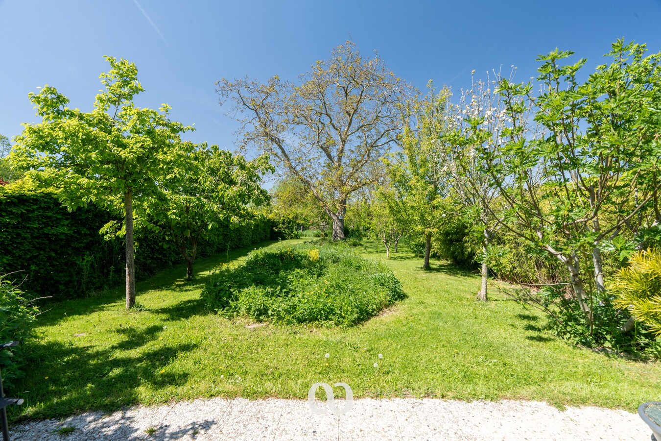 Leuke woning op topligging aan het Wallebos in Oudenaarde 