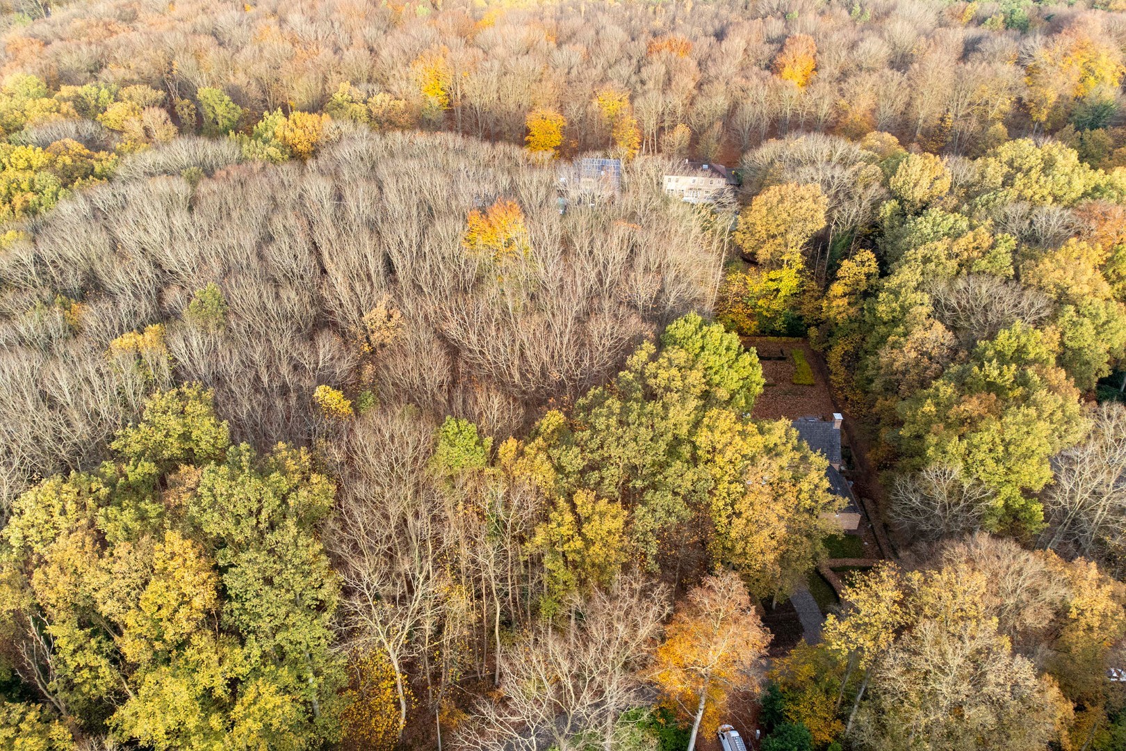 Prachtige bouwgrond van 22a 63ca te koop op een toplocatie in Hoog-Linden! 