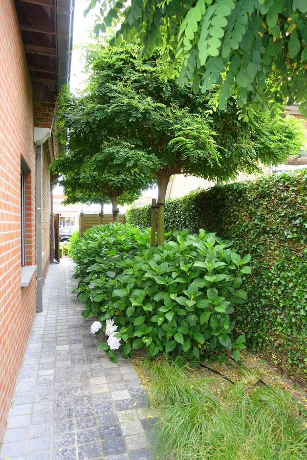 Prachtig ruime gerenoveerde woning 