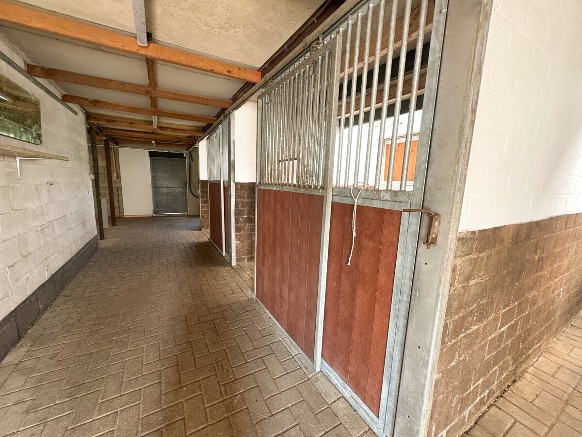 Ruime woning met paardenstallen op ca. 85 are te Kinrooi 