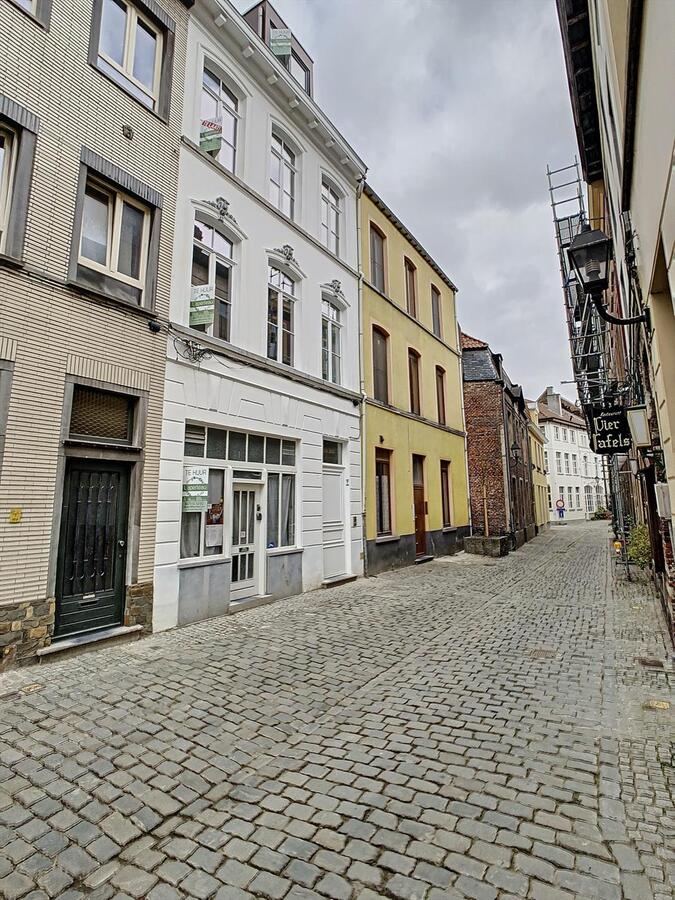 Volledig vernieuwd appartement in het pittoreske Patershol 