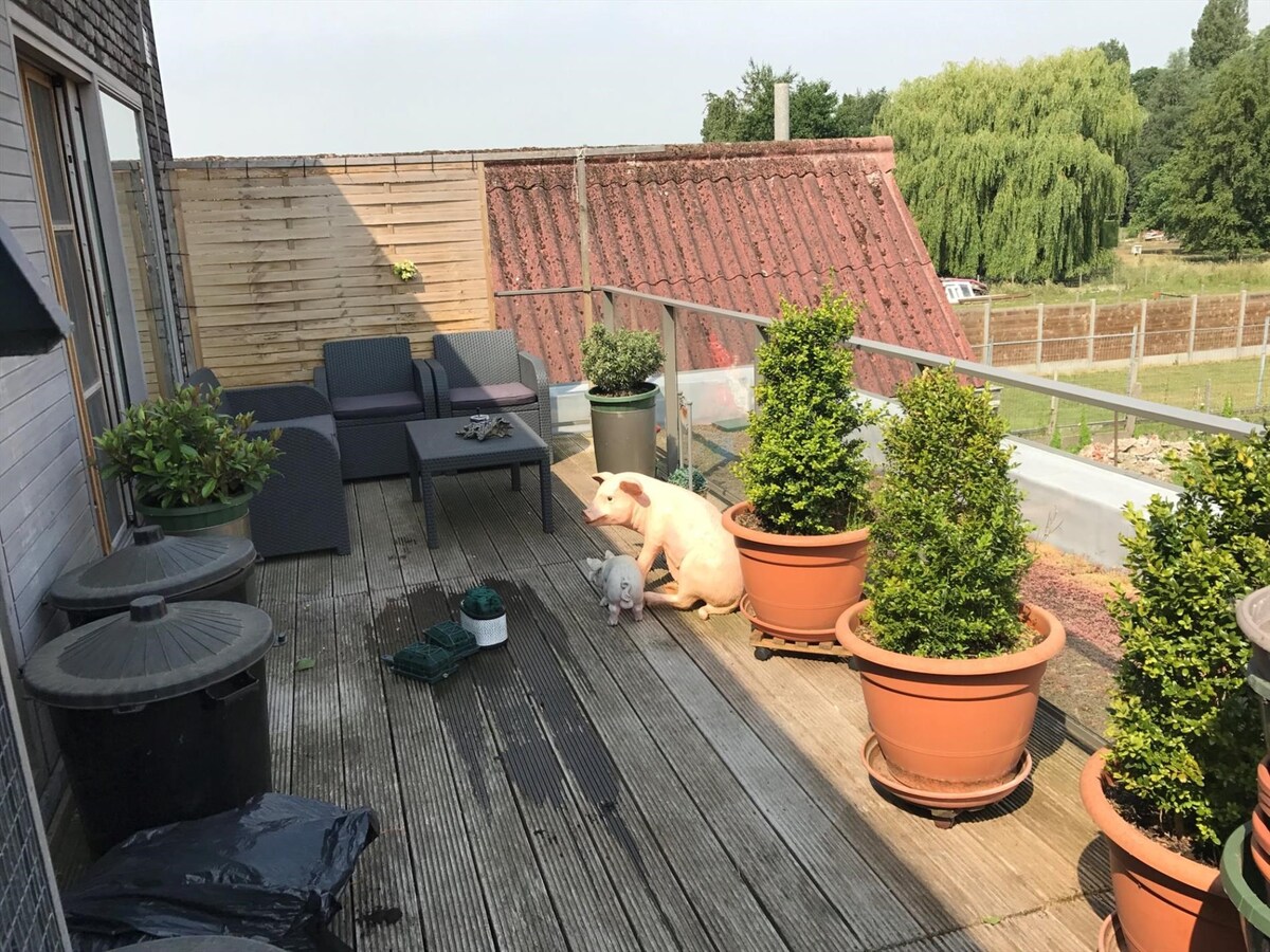 Ruim appartement met 2 terrassen, carport, tuinhuis en gemeenschappelijke tuin 