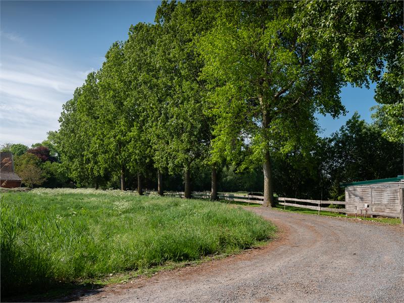 Charmante halfopen woning te Watervliet met potentieel. 