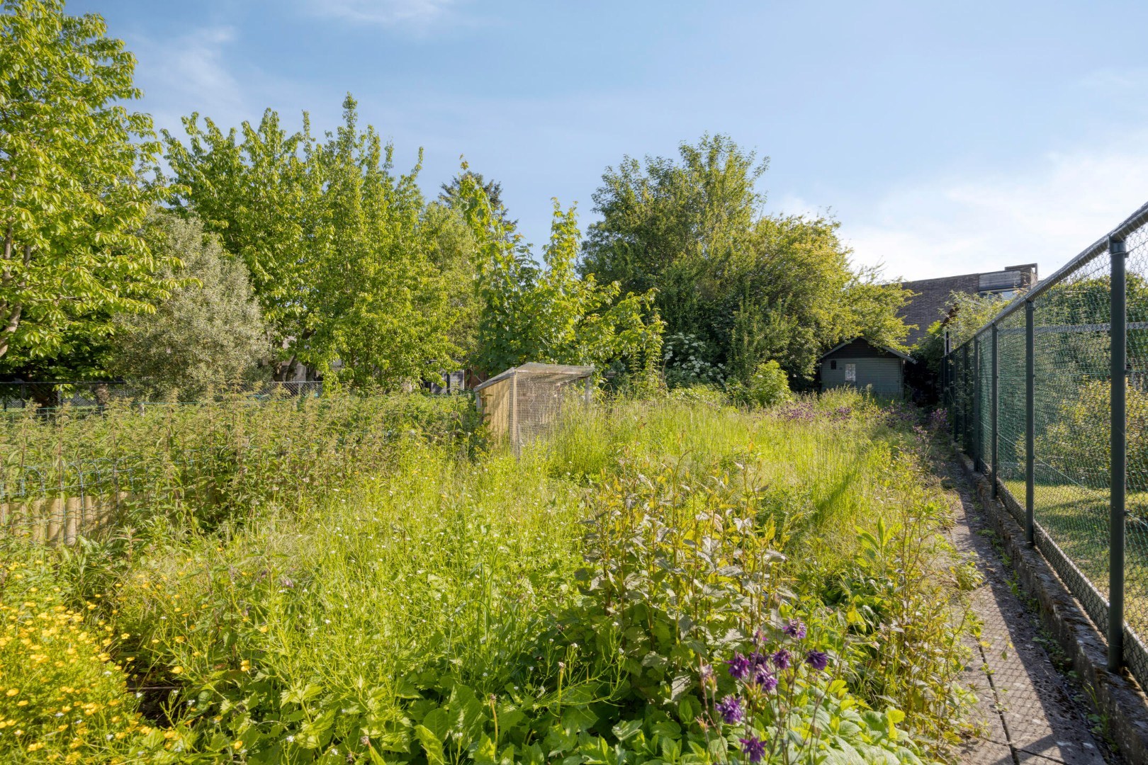 Tuin met achtergelegen tuinhuis