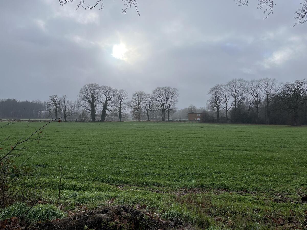 Weiland verkocht in Lummen
